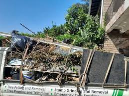 Best Hoarding Cleanup in Weeping Water, NE